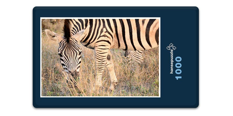 10287 Natur - Zebra