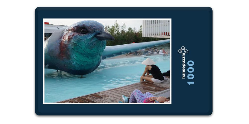 11635 Tierwelt - Vogel im Pool