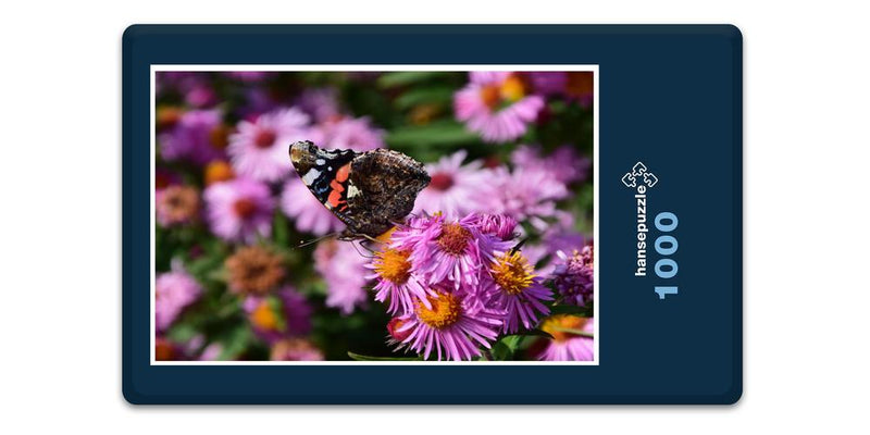 16506 Tierwelt - Schmetterling