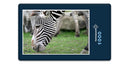 10307 Natur - Zebra