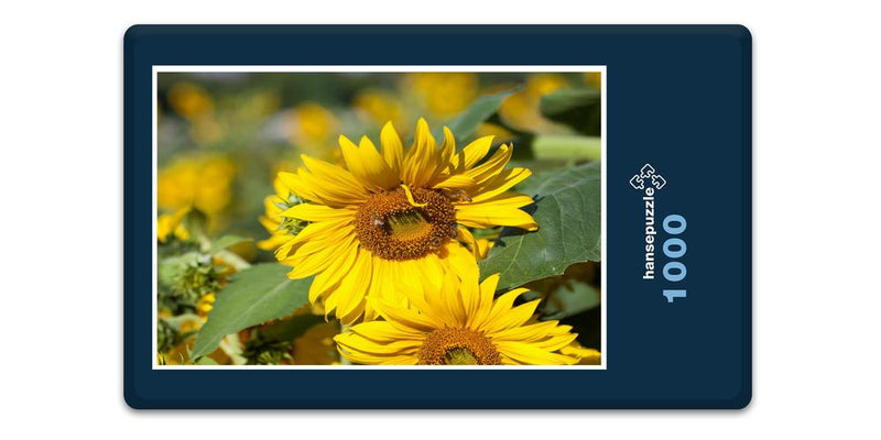 11863 Tierwelt - Sonnenblume