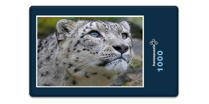 13598 Tierwelt - Schnee-Leopard