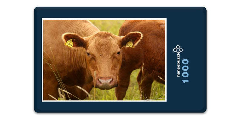 11827 Tierwelt - Glückliche Kuh