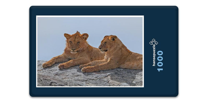 18754 Tierwelt - Zwei Löwen