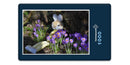 18814 Tierwelt - Hase im Krokus
