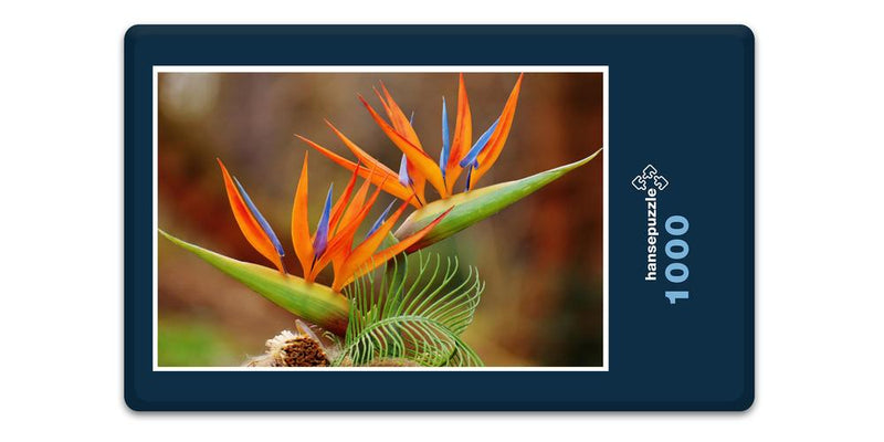 16502 Natur - Bird of Paradise