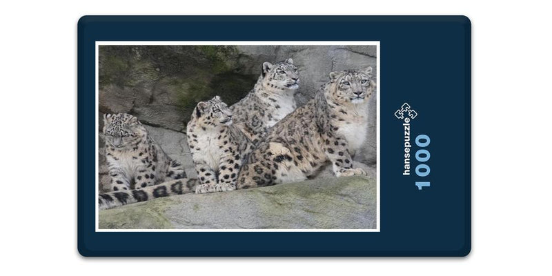13610 Tierwelt - Leoparden Familie