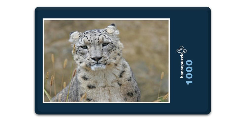 16842 Tierwelt - Schnee-Leopard