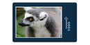 10652 Natur - Lemur