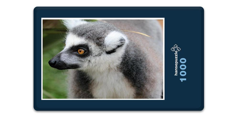 10652 Natur - Lemur