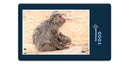 15938 Tierwelt - Affen-Familie