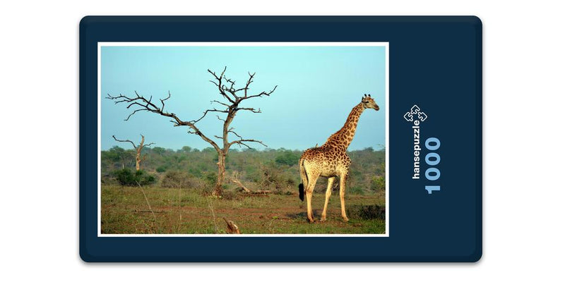 10379 Natur - Giraffe