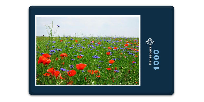 16350 Natur - Blumen-Feld