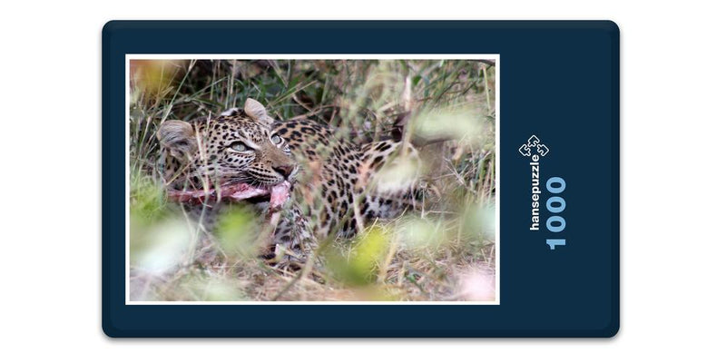 10383 Natur - Leopard