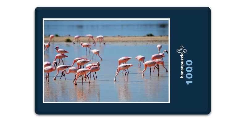 10331 Natur - Flamingos