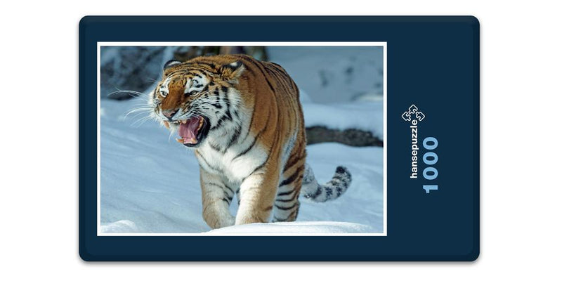 12216 Tierwelt - Tiger