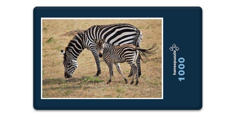 10311 Natur - Zebra