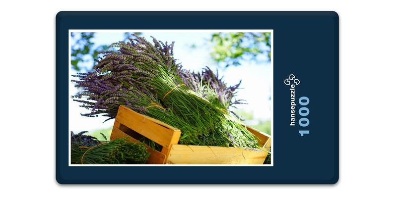 16402 Natur - Lavendel in Box