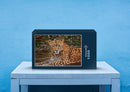 70572 Tierwelt - Leopard
