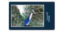 12260 Tierwelt - Vogel-Pfau