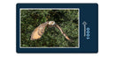16637 Tierwelt - Eule im Flug