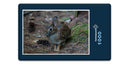 12280 Tierwelt - Wald-Hase