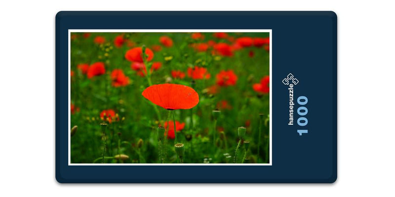 16390 Natur - Mohn-Feld