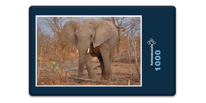 10367 Natur - Elefant