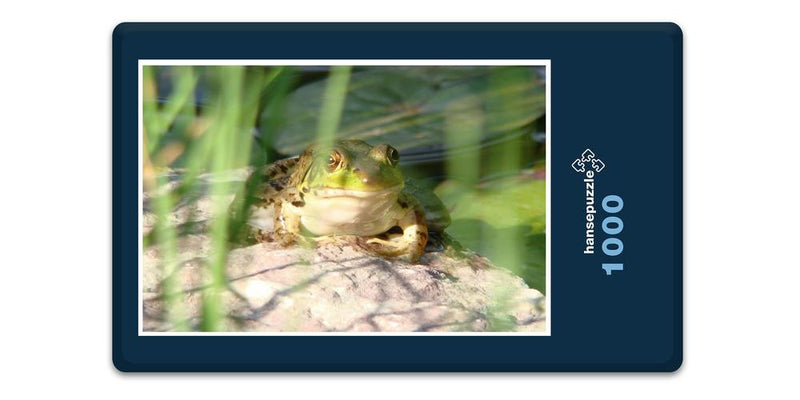 11903 Tierwelt - Frosch am See