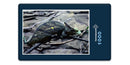 13962 Tierwelt - Chameleon