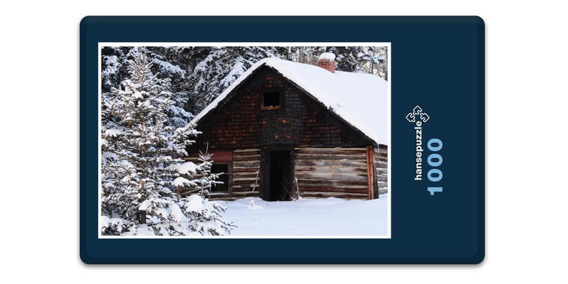 11987 Gebäude - Winterhütte