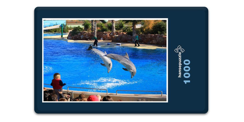 11651 Tierwelt - Delfin-Show