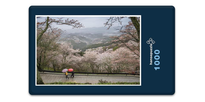 15878 Natur - Kirschblüte in Japan