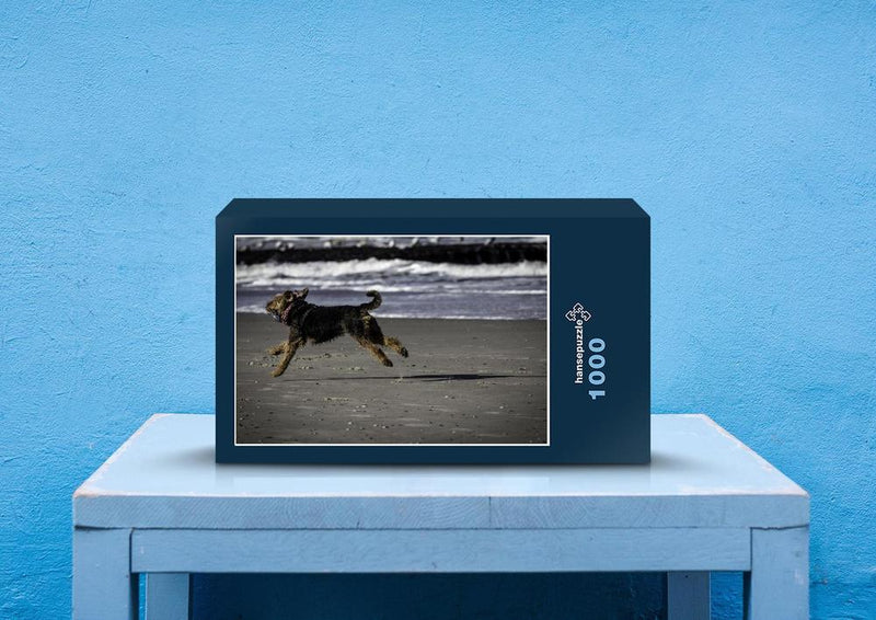 35190 Tierwelt - Hund am Strand