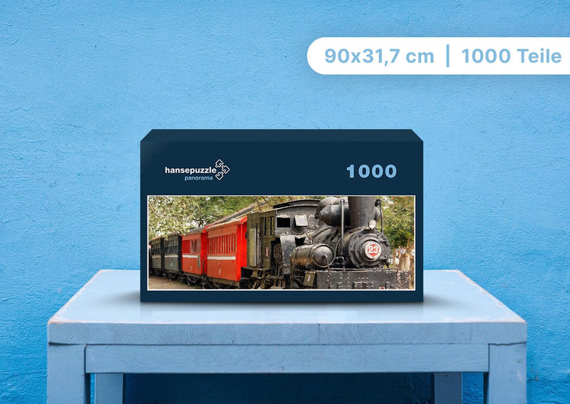 100929 Fortbewegung - Lokomotive