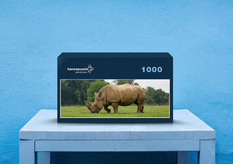 83773 Tierwelt - Nashorn