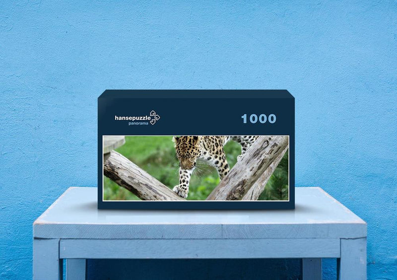 76924 Tierwelt - Leopard