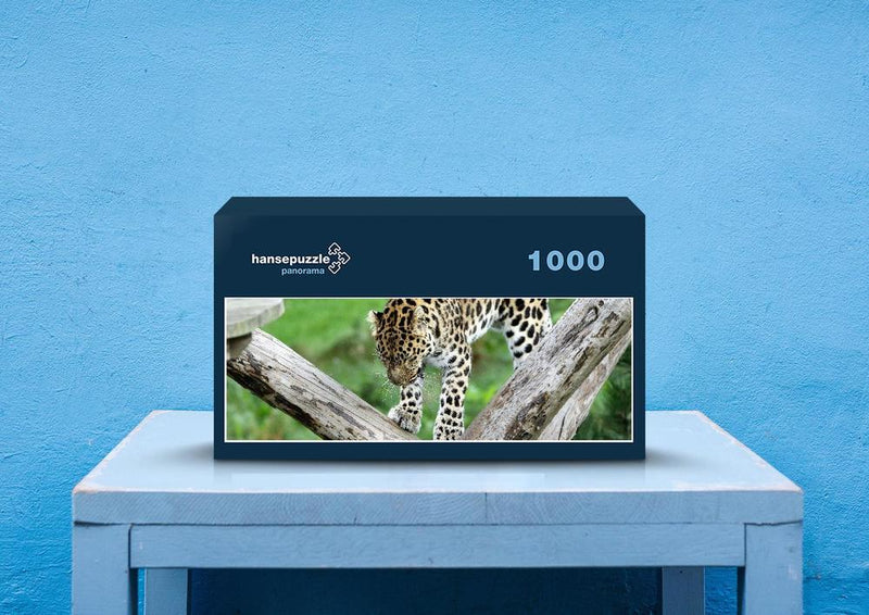 77000 Tierwelt - Leopard