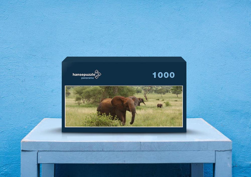 75508 Tierwelt - Elefant