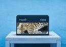 77162 Tierwelt - Leopard