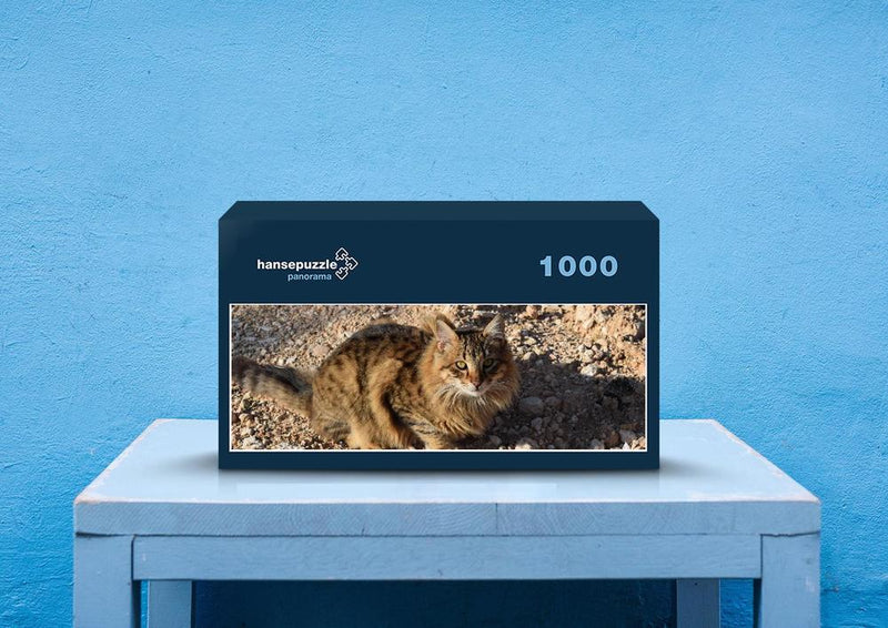 30290 Tierwelt - Katze