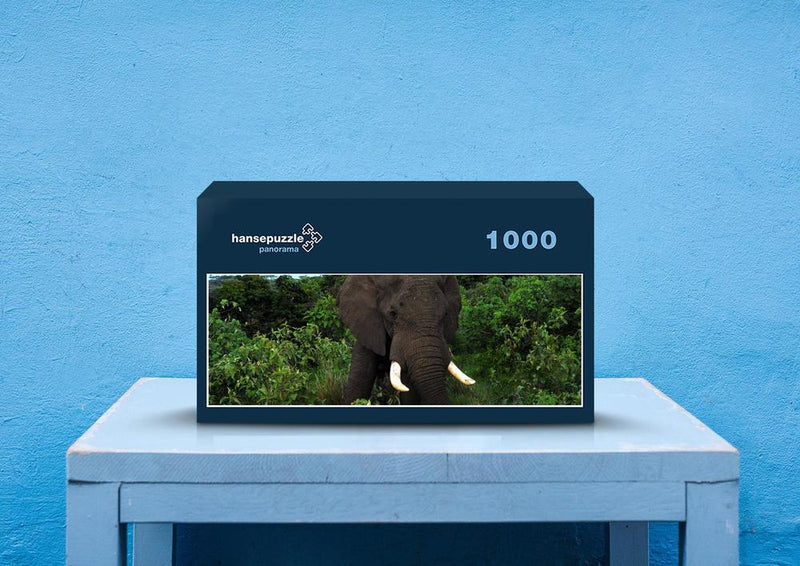 86241 Tierwelt - Elefant