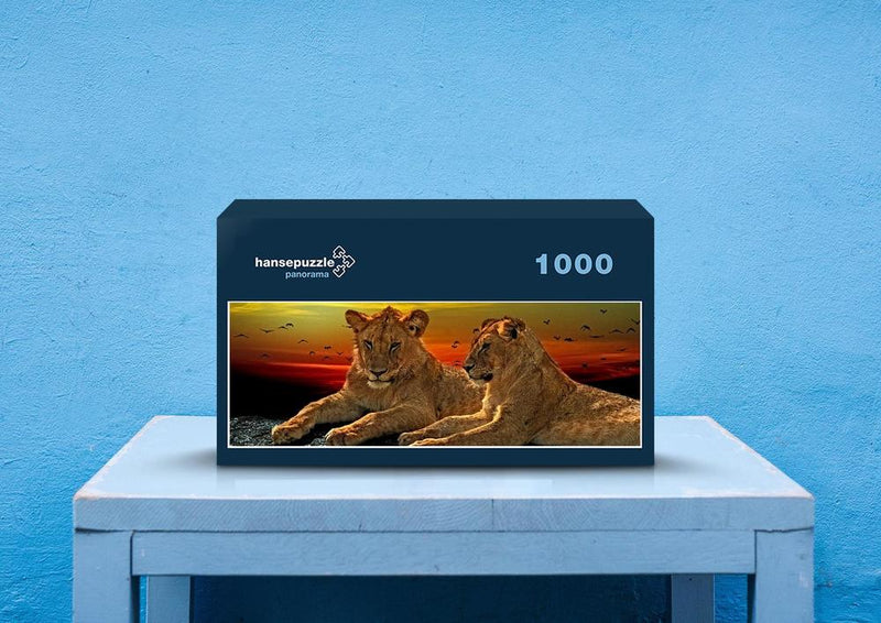30429 Tierwelt - Löwen-Paar