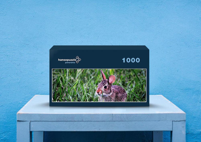 30403 Tierwelt - Kaninchen