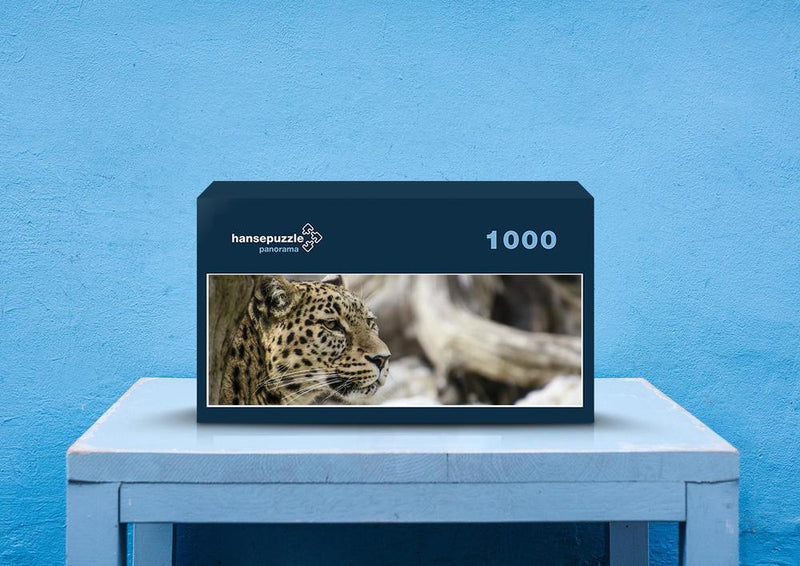 77504 Natur - Leopard