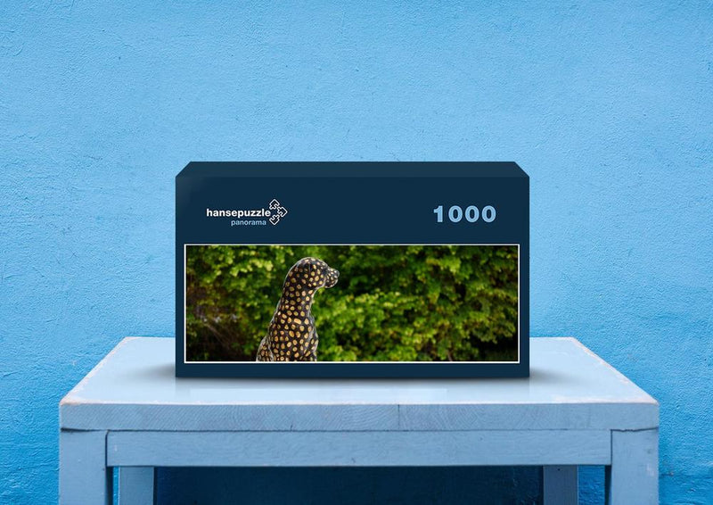 76900 Hintergründe - Leopard