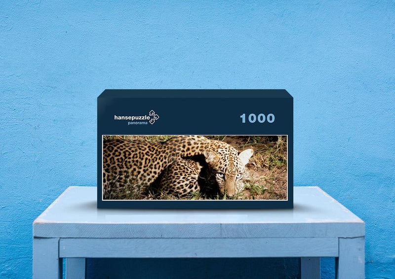 76935 Tierwelt - Leopard