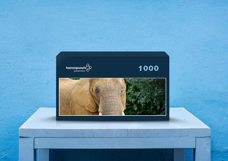 87009 Tierwelt - Elefant
