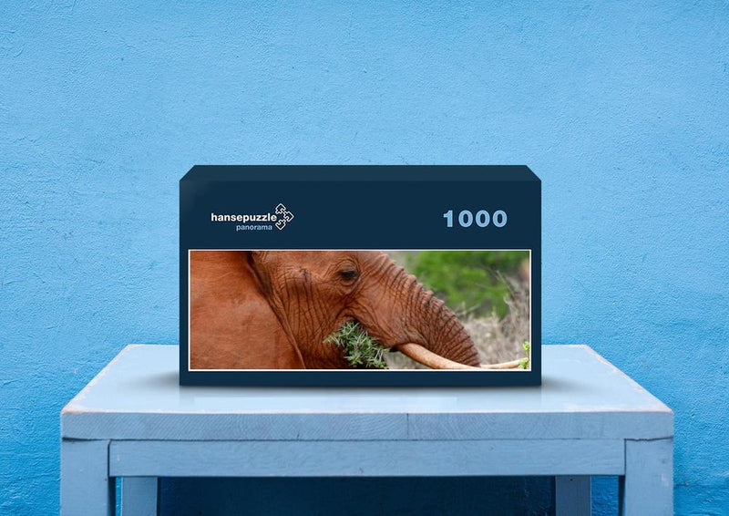 75635 Tierwelt - Elefant
