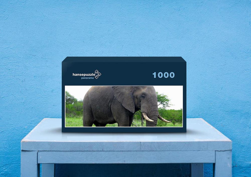 75622 Tierwelt - Elefant